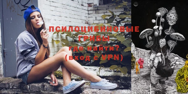 хмурый Алзамай