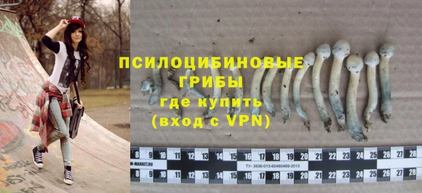 хмурый Алзамай