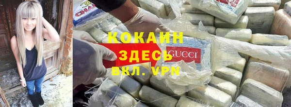 шишки Алексеевка