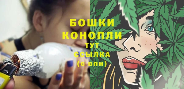 ECSTASY Няндома