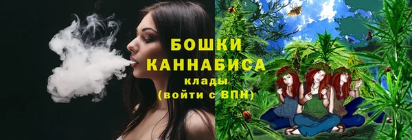 шишки Алексеевка