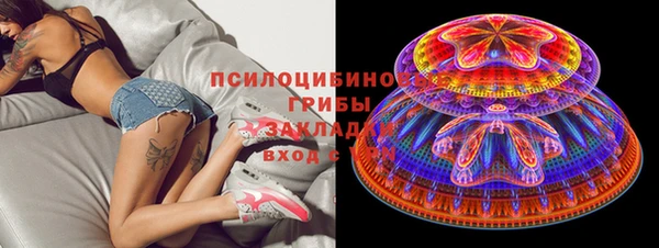 шишки Алексеевка