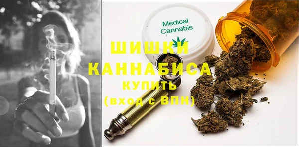 шишки Алексеевка