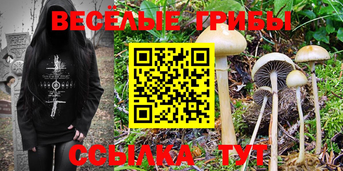 Псилоцибиновые грибы Cubensis Балашиха